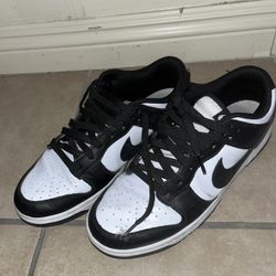 Panda Nike Shoes