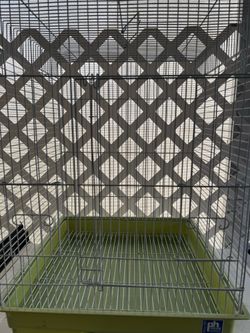 White Bird cage