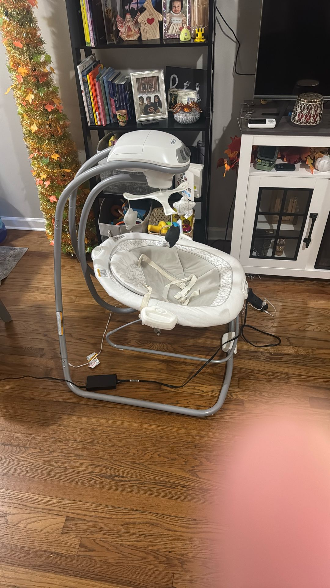 Graco Soothing System Baby Swing – Gently Used
