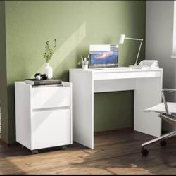 33 in. Rectangular White Wood Writing Desk with 1-Drawer/1-Door Cabinet