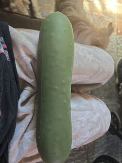 Cucumber squishy