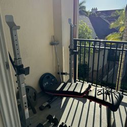 Weight Bench/squat Rack Olympic Weights & Dumbbells
