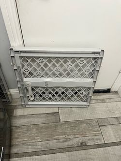 Puppy Gate