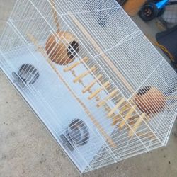 Bird Cage 