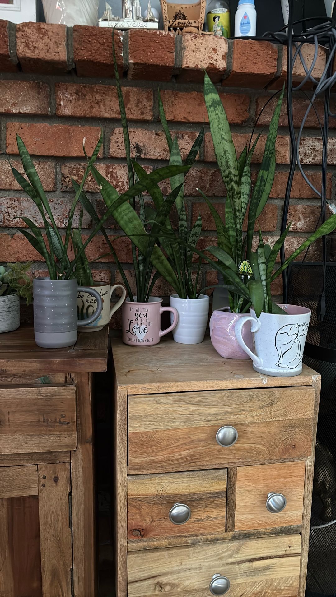 platitas hermosas set de 7 piezas