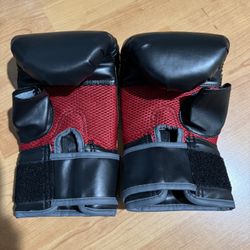 Boxing Gloves L/XL