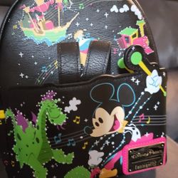 Disney lLand Electrical Parade Backpack And Ears