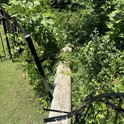 Tree Work 