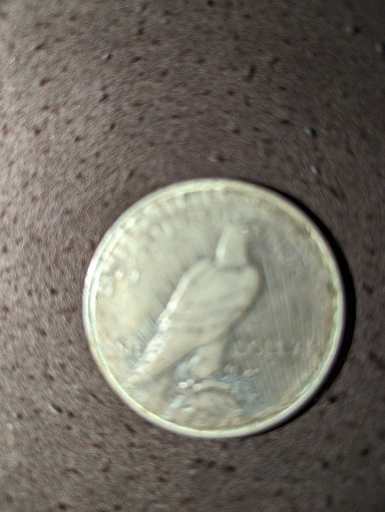 Rear Dollar Coin 1922