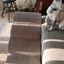 Sturdy Dog Stairs