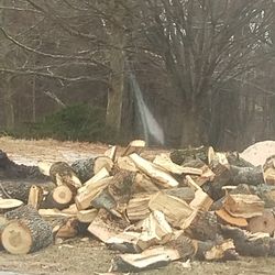 Chopped firewood