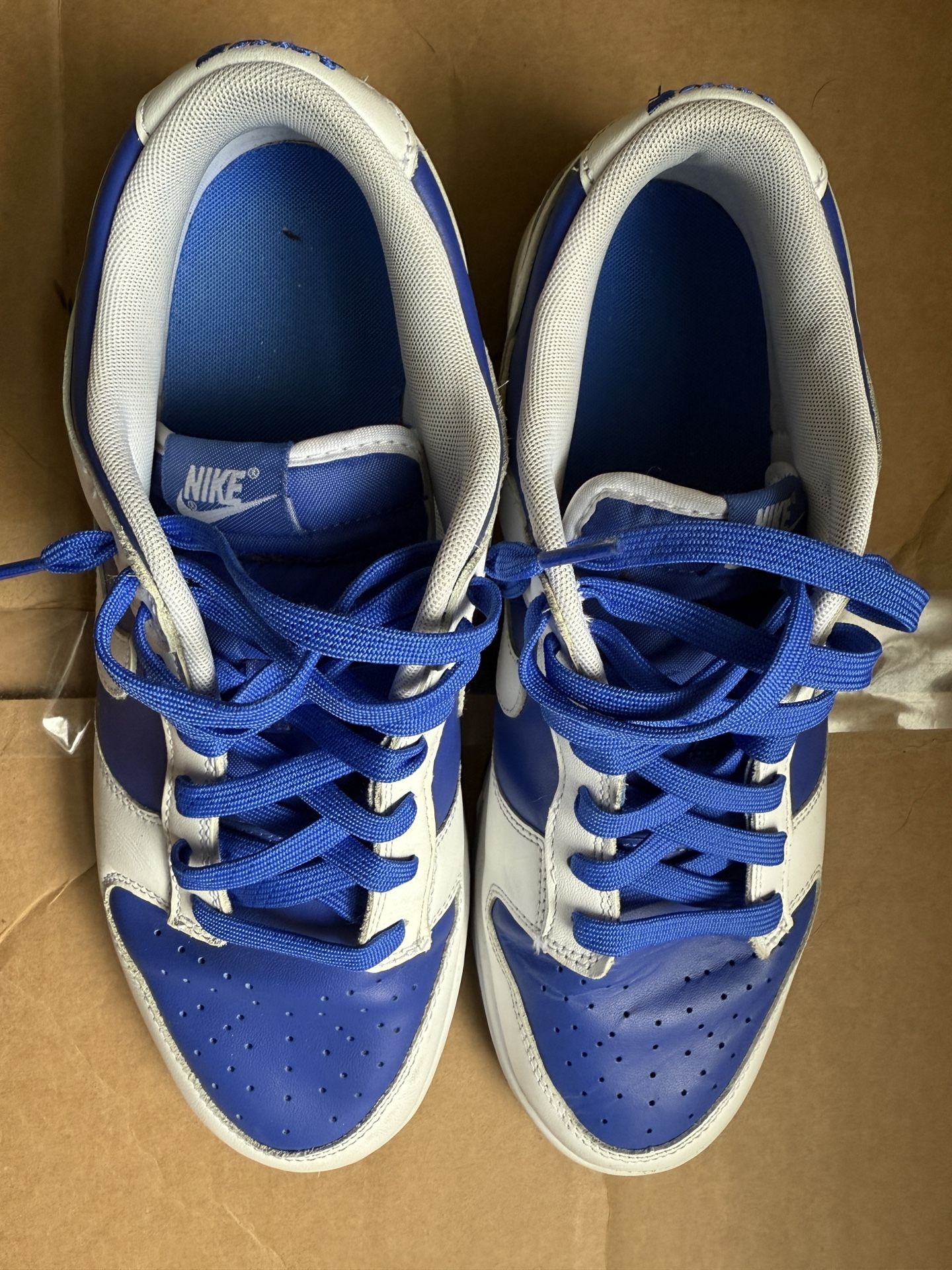 Nike White And Blue Dunks