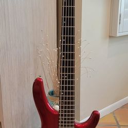 Cort 5 String Bass W/Gig Bag