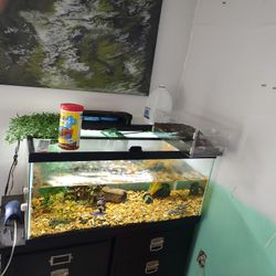 50 Gallon Fish Tank