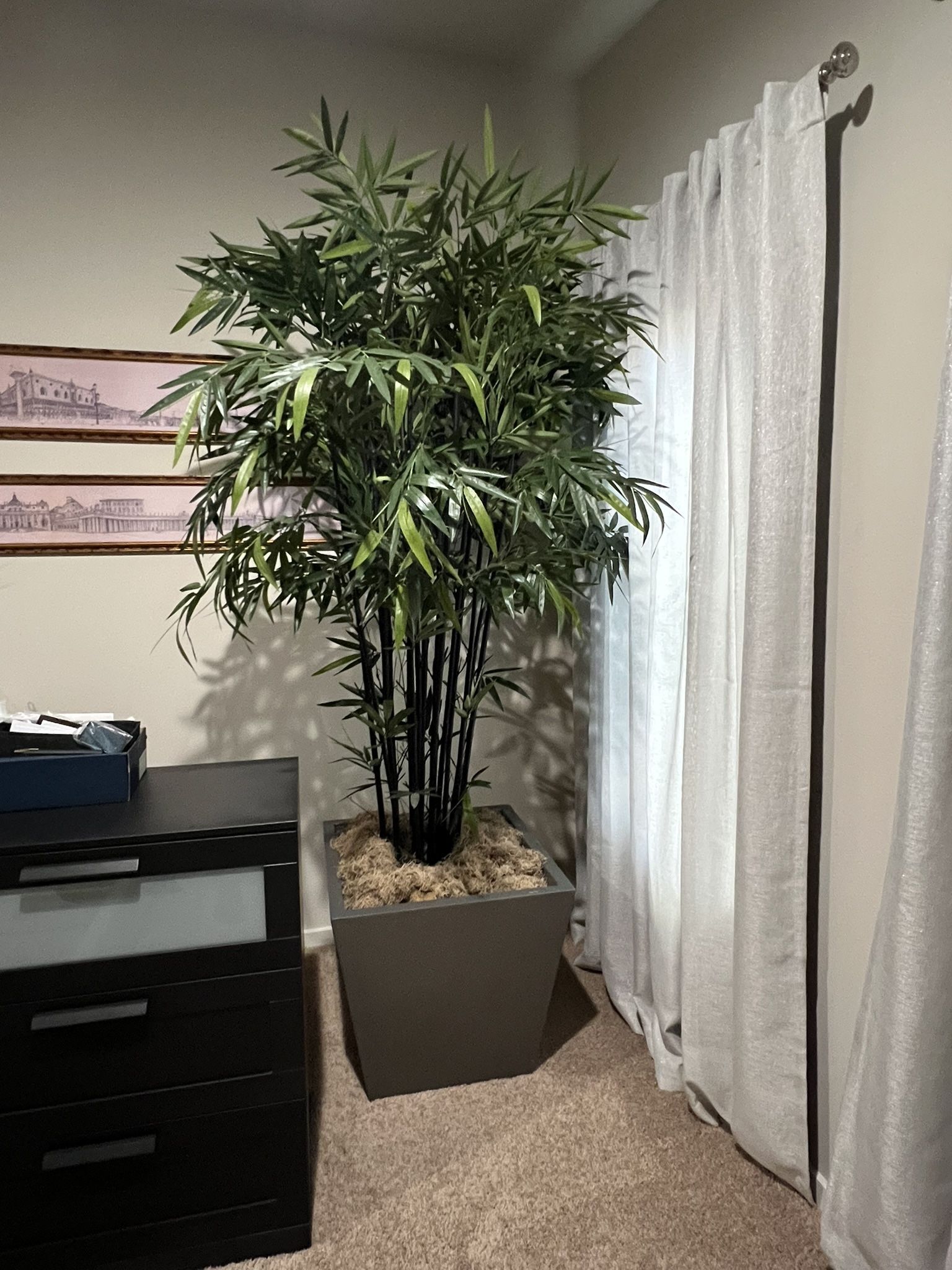 8ft Tall Artificial Bamboo Plant W/Base - Stunning & Low Maintenance!