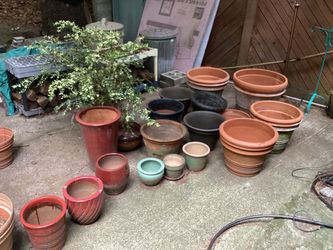 Pots for sale