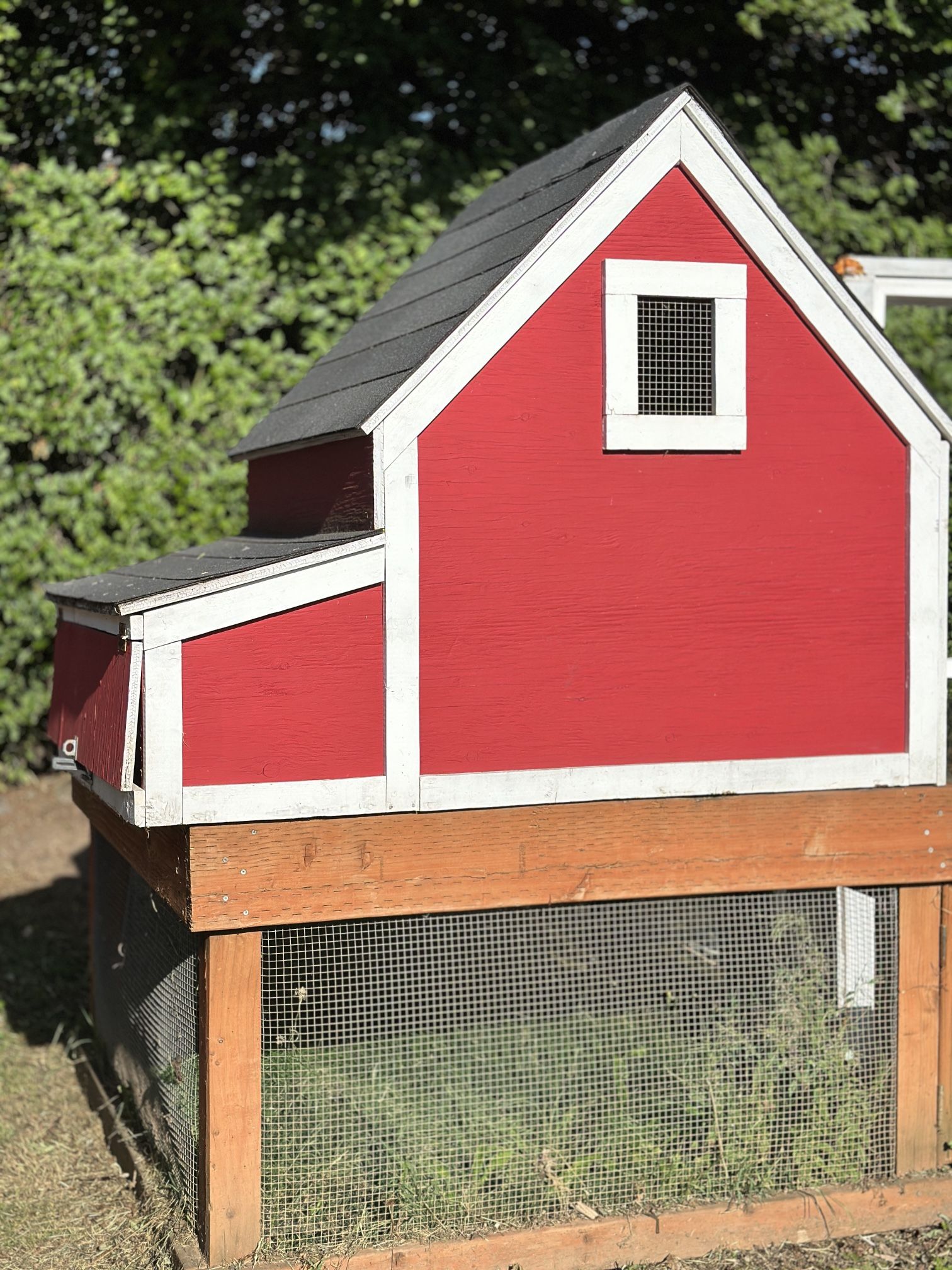 Chicken Coop with Run