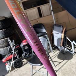 Girls Softball Bat