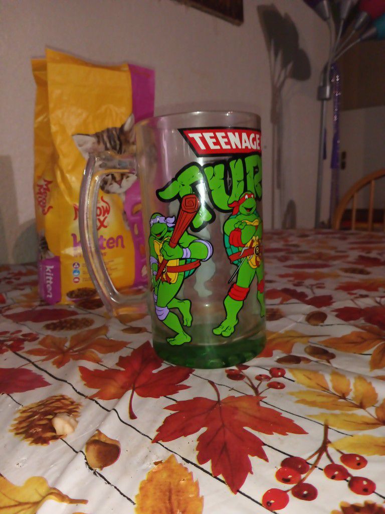 TMNT 1.5 Litter Glass Cup 