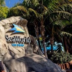 Seaworld Tickets 