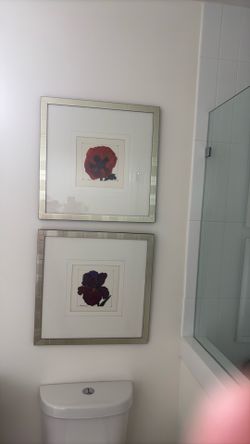 Crate & Barrel Framed Botanical Prints – Set of 2