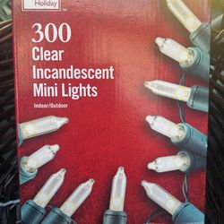 Christmas Lights 300