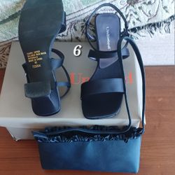 Elegant Shoes. One Matching Purse