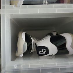 Jordan 11 Concords