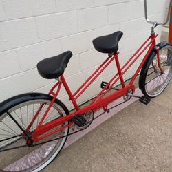 Vista 2- Seat Bike