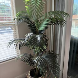 Palm Tree Artificial 
