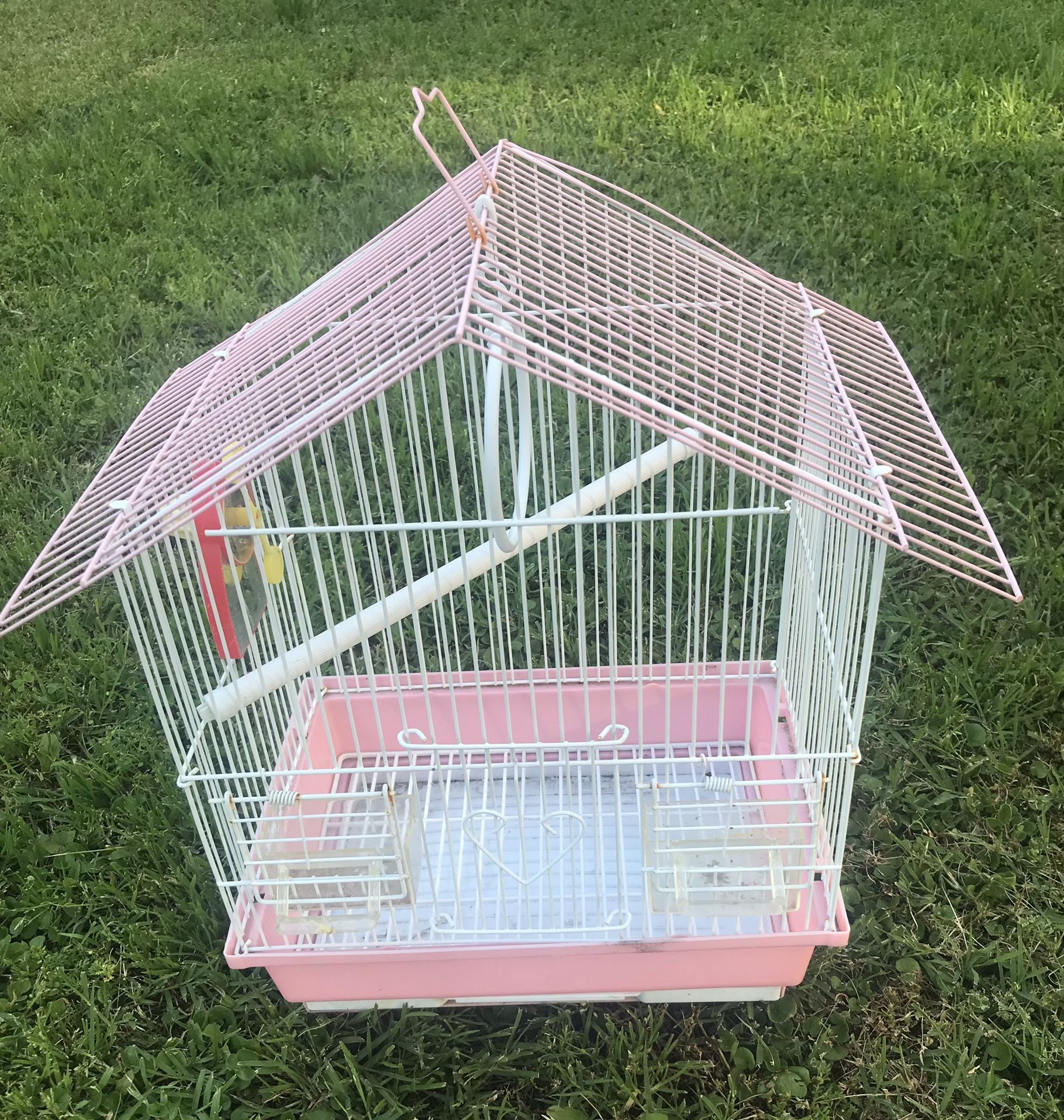 Bird Cage