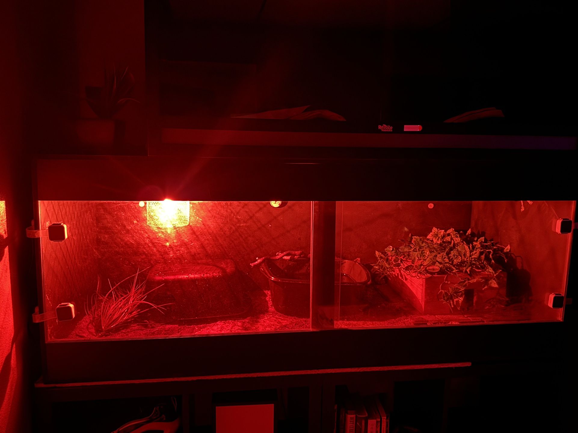 5x2x2 PVC Reptile Enclosure 