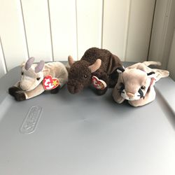 Out West Ty Beanie Babies 1(contact info removed): Goatee, Roam, Canyon