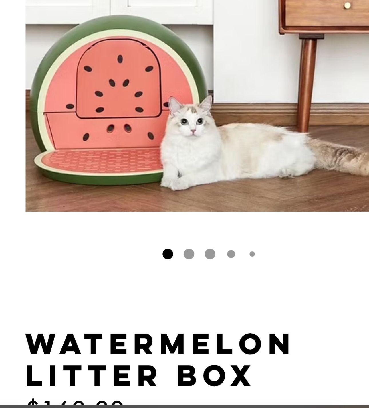 Litter Box 