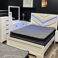 FREE DELIVER THE SAME DAY .