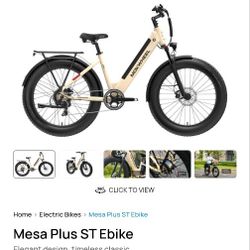 Mokwheel Mesa Plus ST E bike 