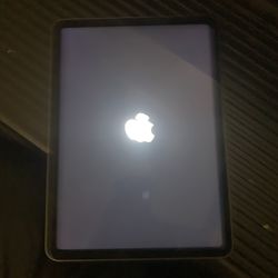 ipad color silver regular size 