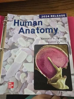 Human Anatomy