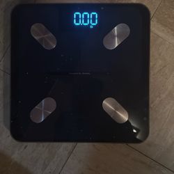 Body Weight Scale.