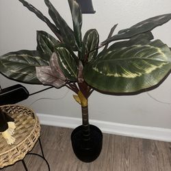 Fake Plant 32-34 In Tall 