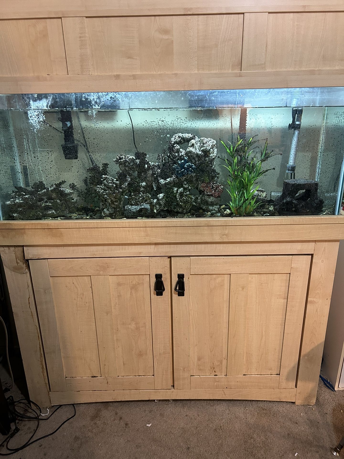 Aquariums/Tanks! All Must Go!