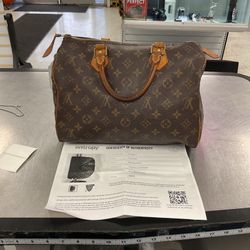 Louis Vuitton Bag 
