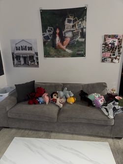 Gray Fabric Sofa Couch