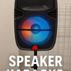 BLUETOOTH PORTABLE SPEAKER KARAOKE 🎤 