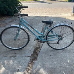 Schwinn Bike
