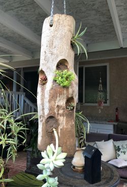 Hanging plants
