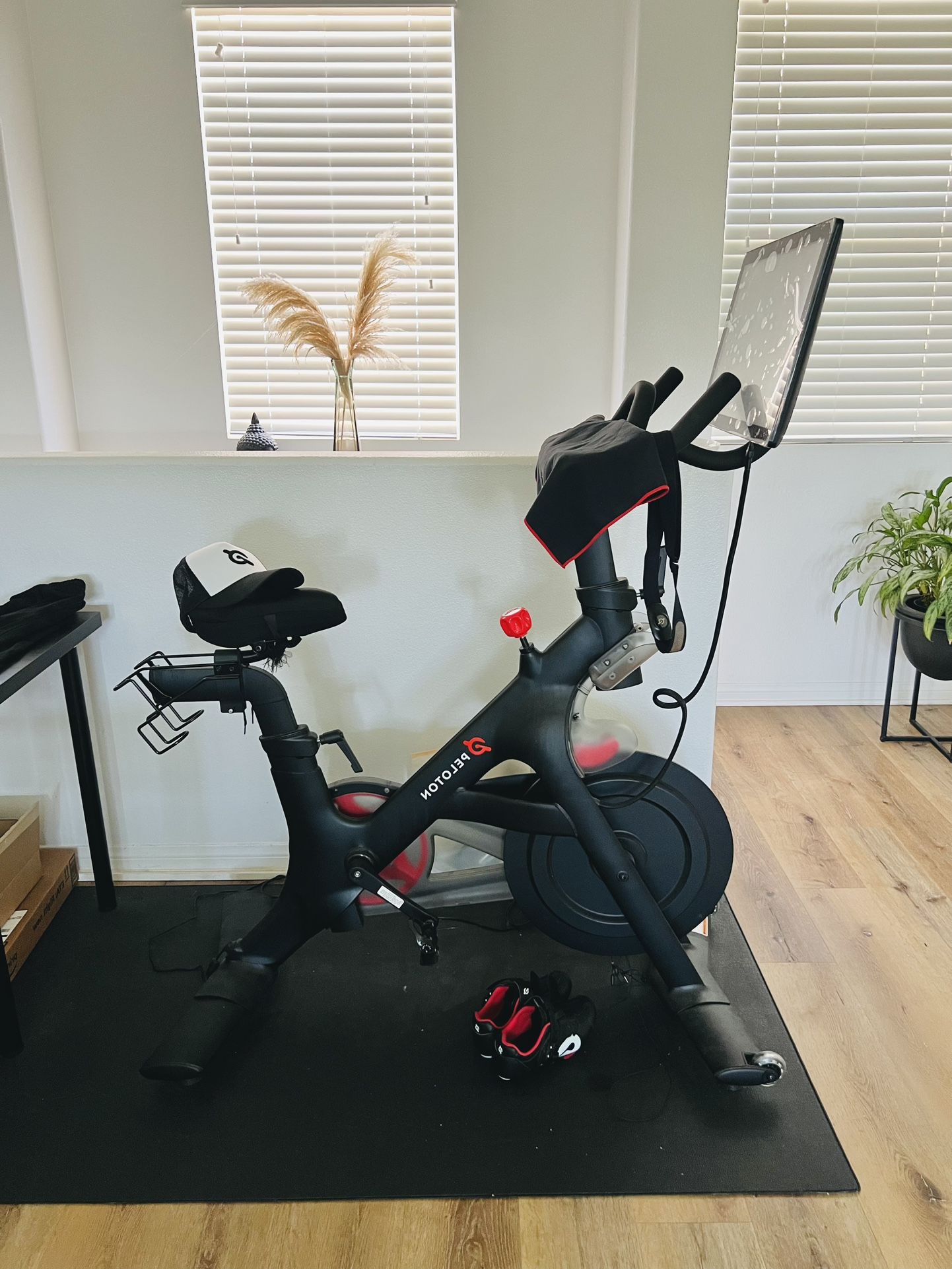 Peloton Bike Workout Exercise
