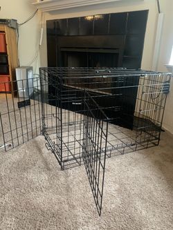 Kennel