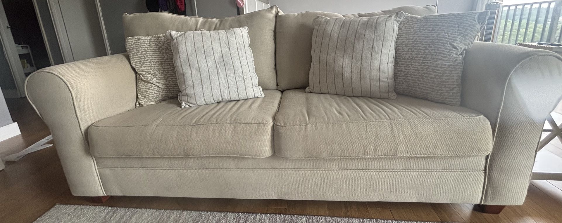 Pullout Couch And Chair