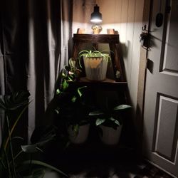 Cedar 3 Tier Corner Shelf